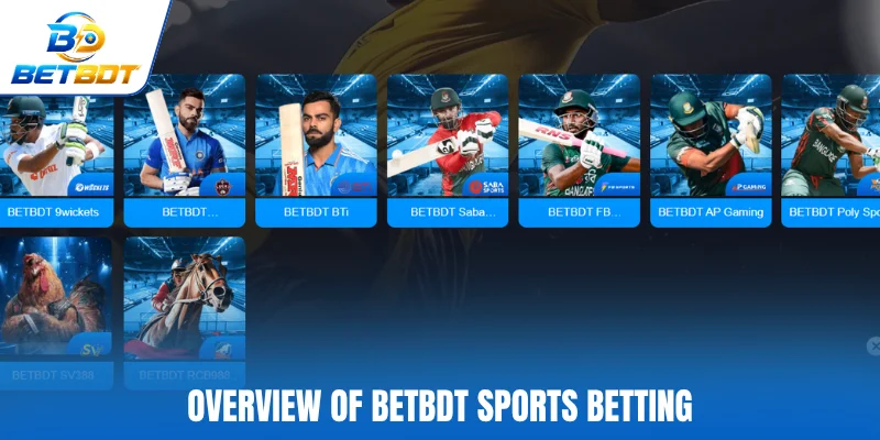 Overview of Betbdt sports betting
